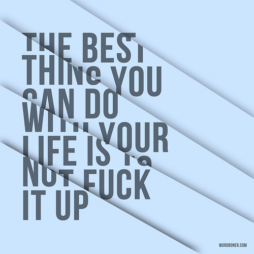 The Best Thing You Can Do With Your Life Is To Not Fuck It Up (get on a tee)